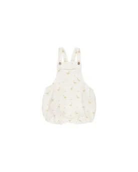 Hayes Romper, Geese