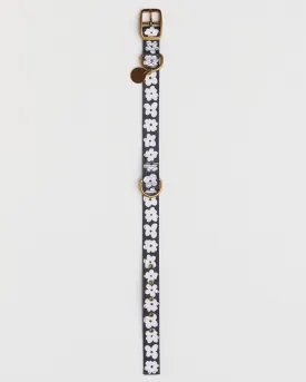 Kip & Co Flower Face Dog Collar
