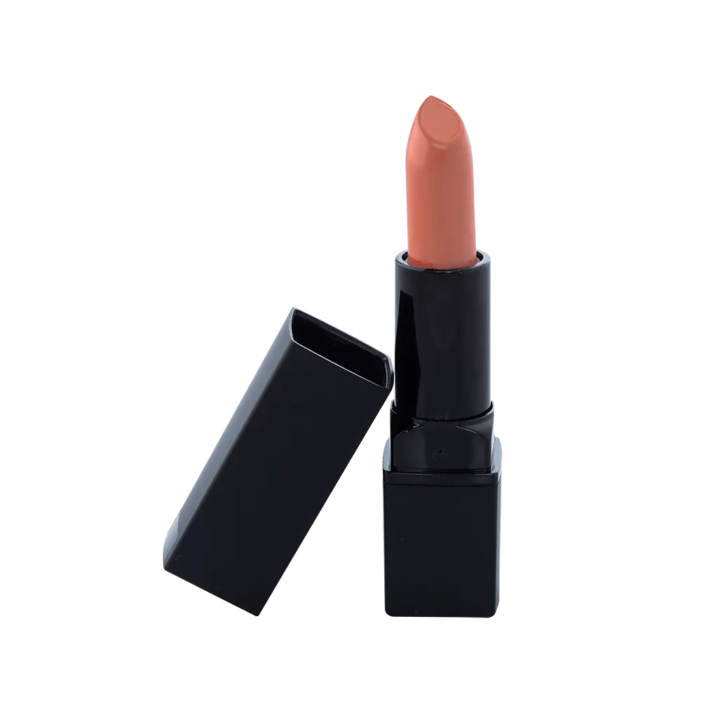 Lipstick Standard Packaging - Teddy (C)