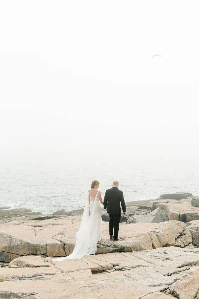 PHOENIX | Detachable Sparkling Tulle Wings